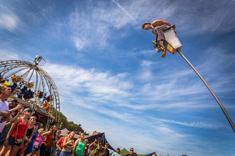 Theaterweide, Zwarte Cross