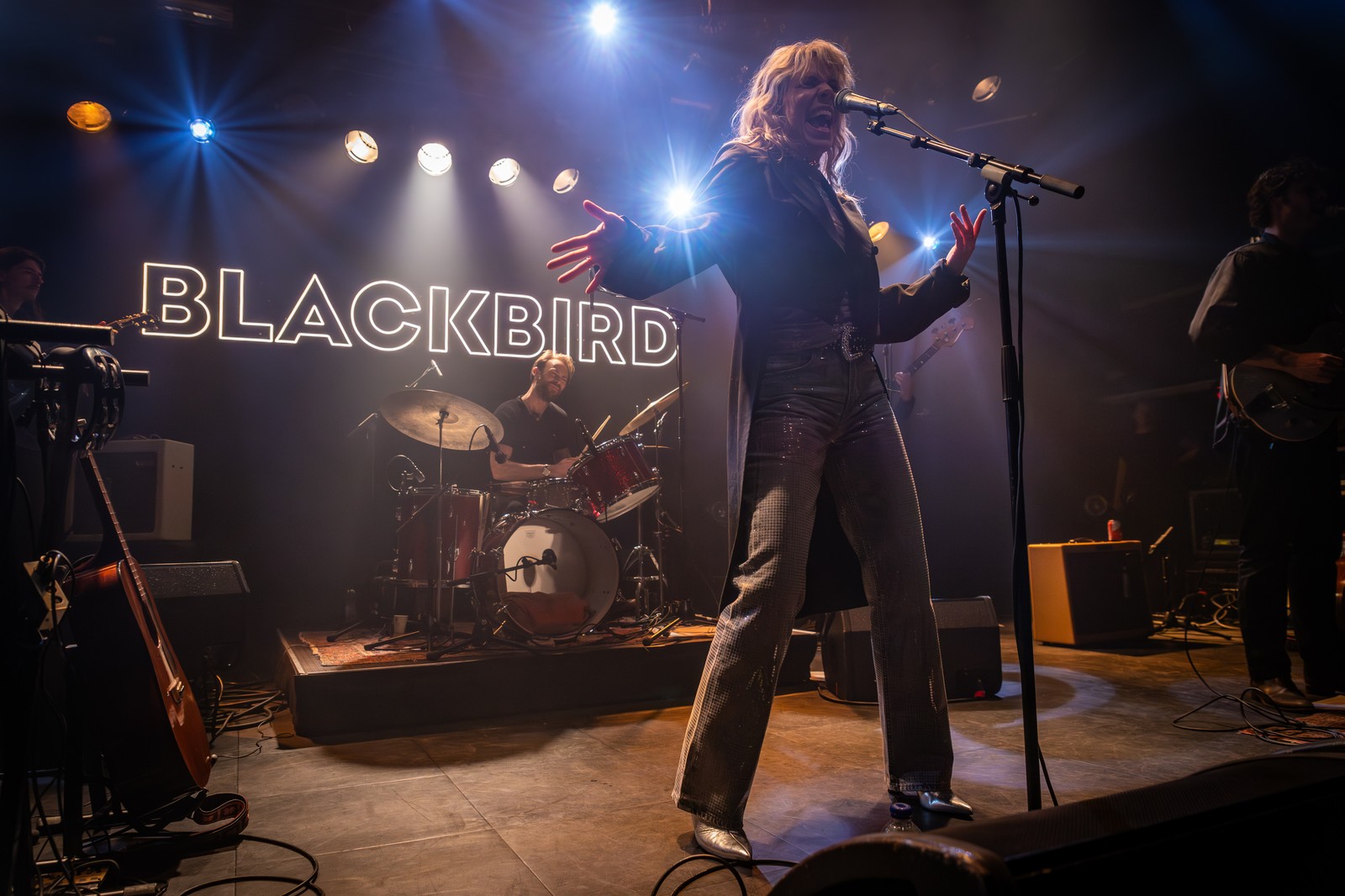 Blackbird [13]