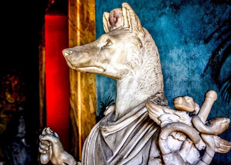 Ancient Greek Dog
