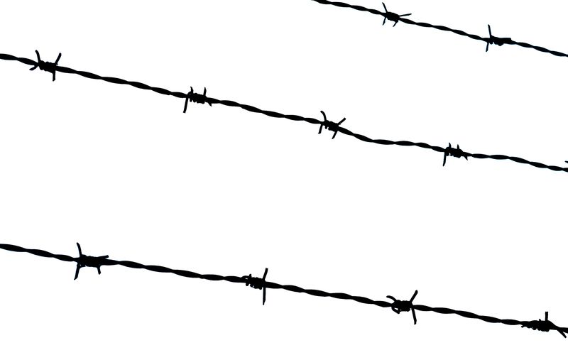 Barbwire