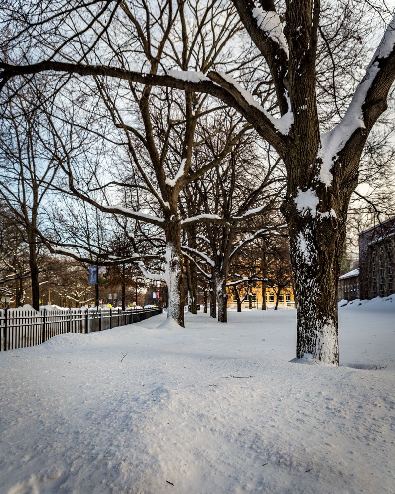 Snow