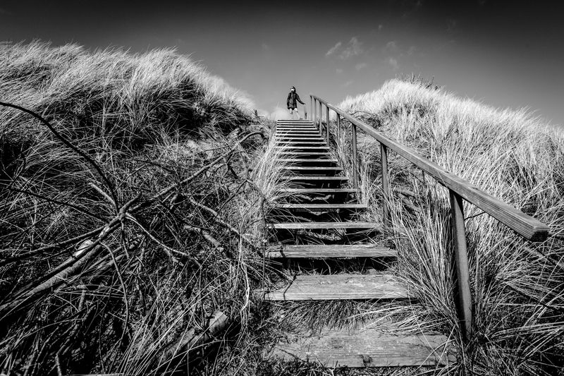 Terschelling