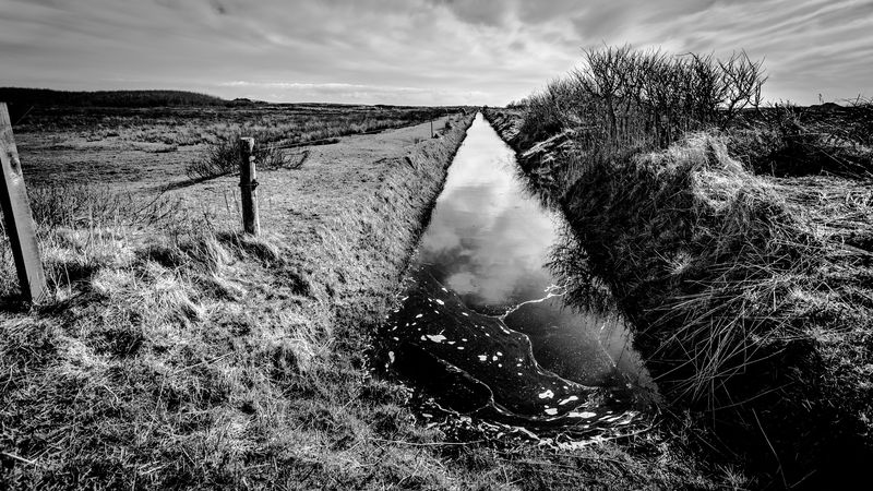 Terschelling