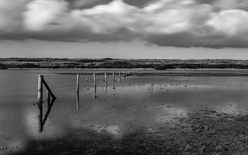 Terschelling