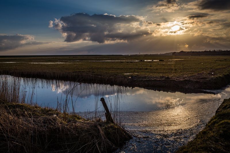 Terschelling