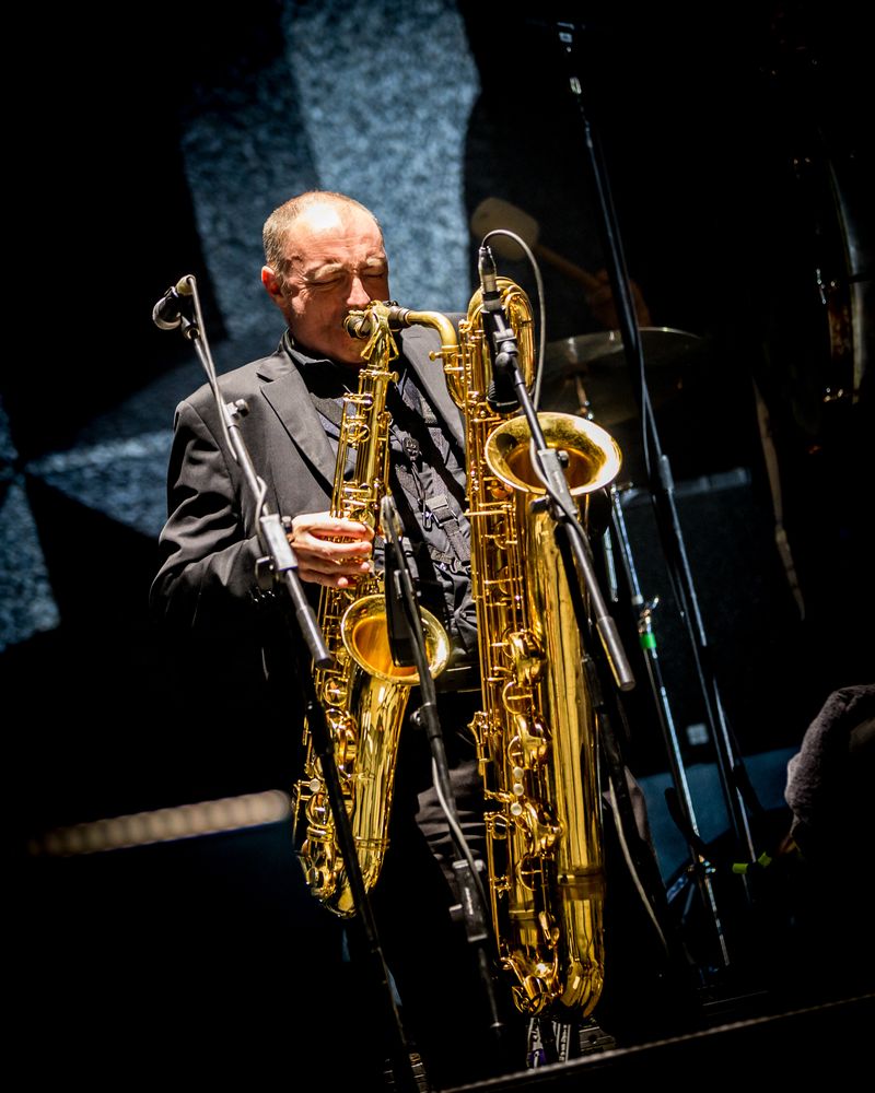 PJ Harvey