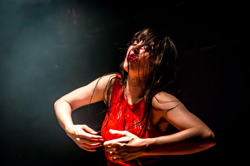 Le Butcherettes