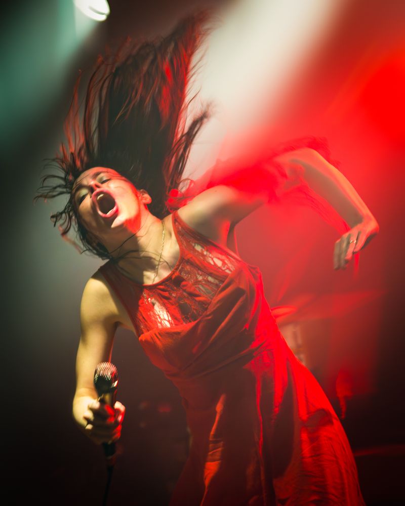 Le Butcherettes