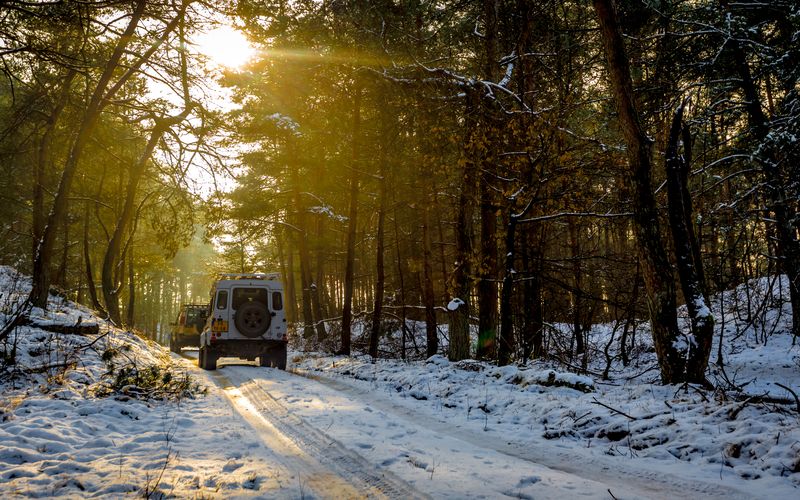 Veluwe