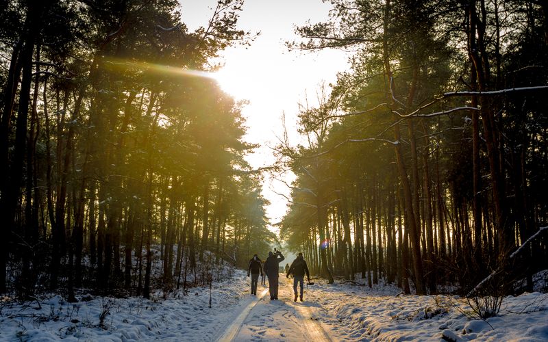 Veluwe