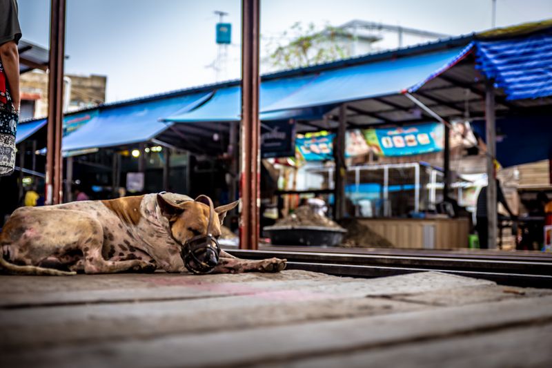 Maeklong Railway Station