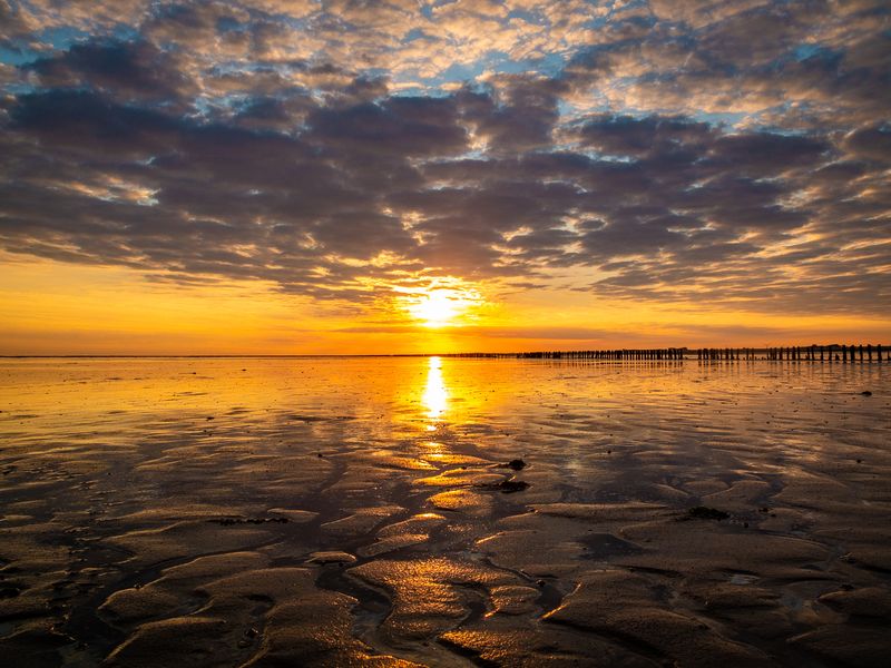 Wadlopen