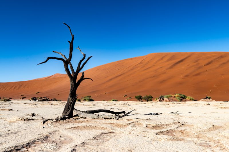 Deadvlei