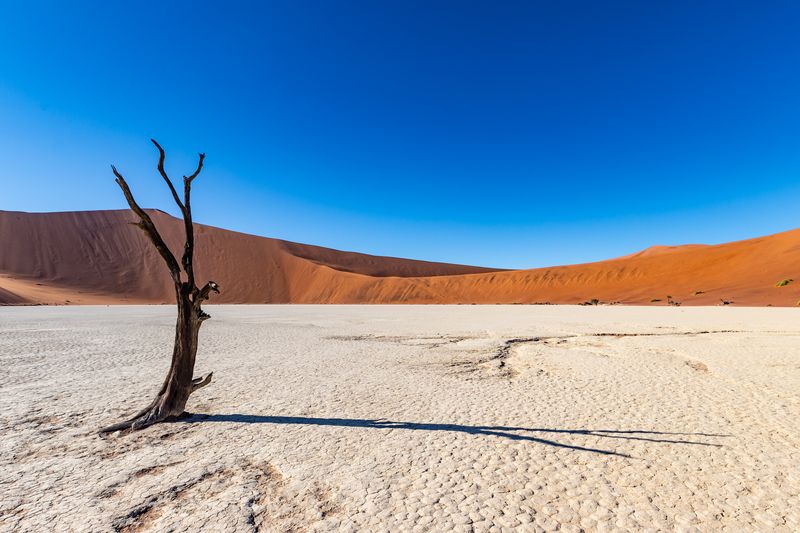 Deadvlei