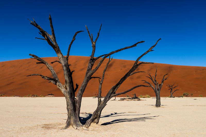 Deadvlei