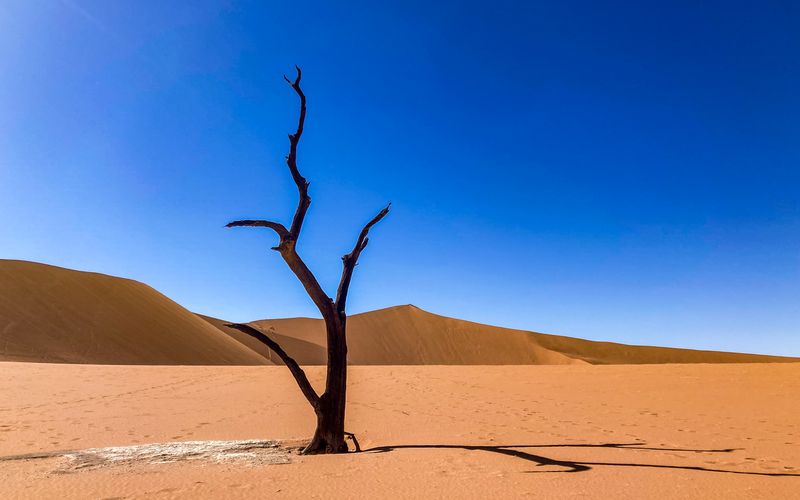 Deadvlei