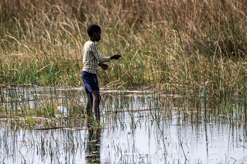 Okavango Delta