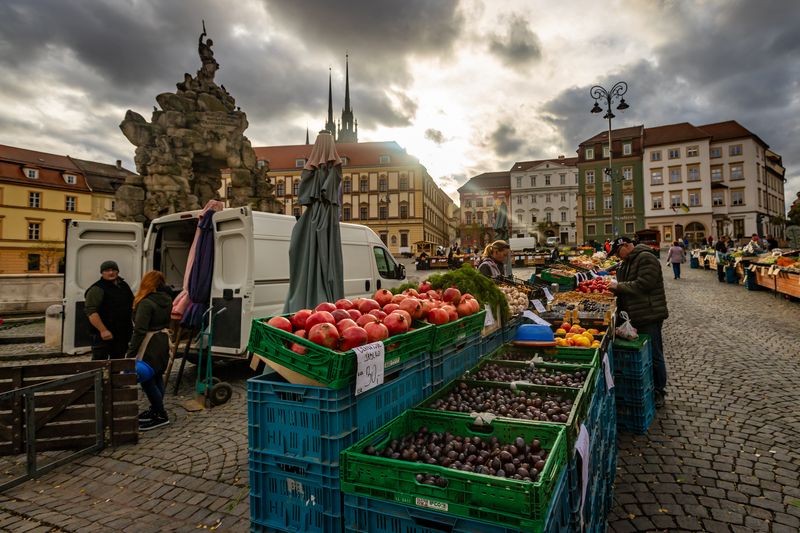 Vegetable Market