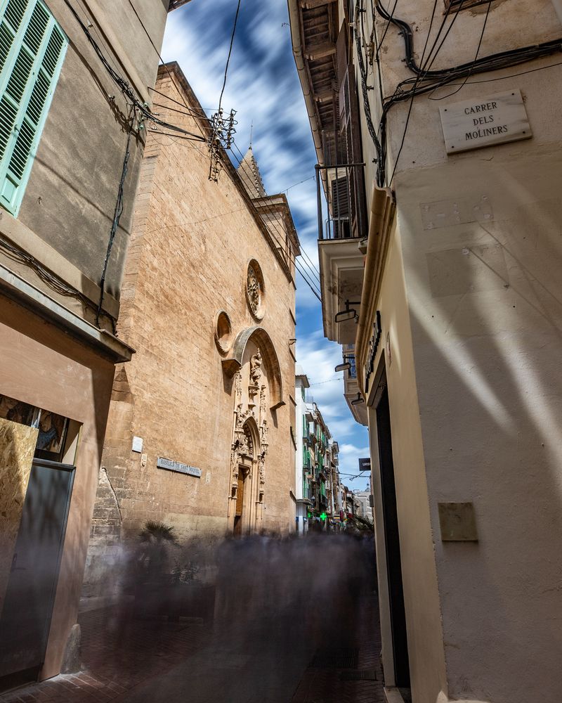 Palma