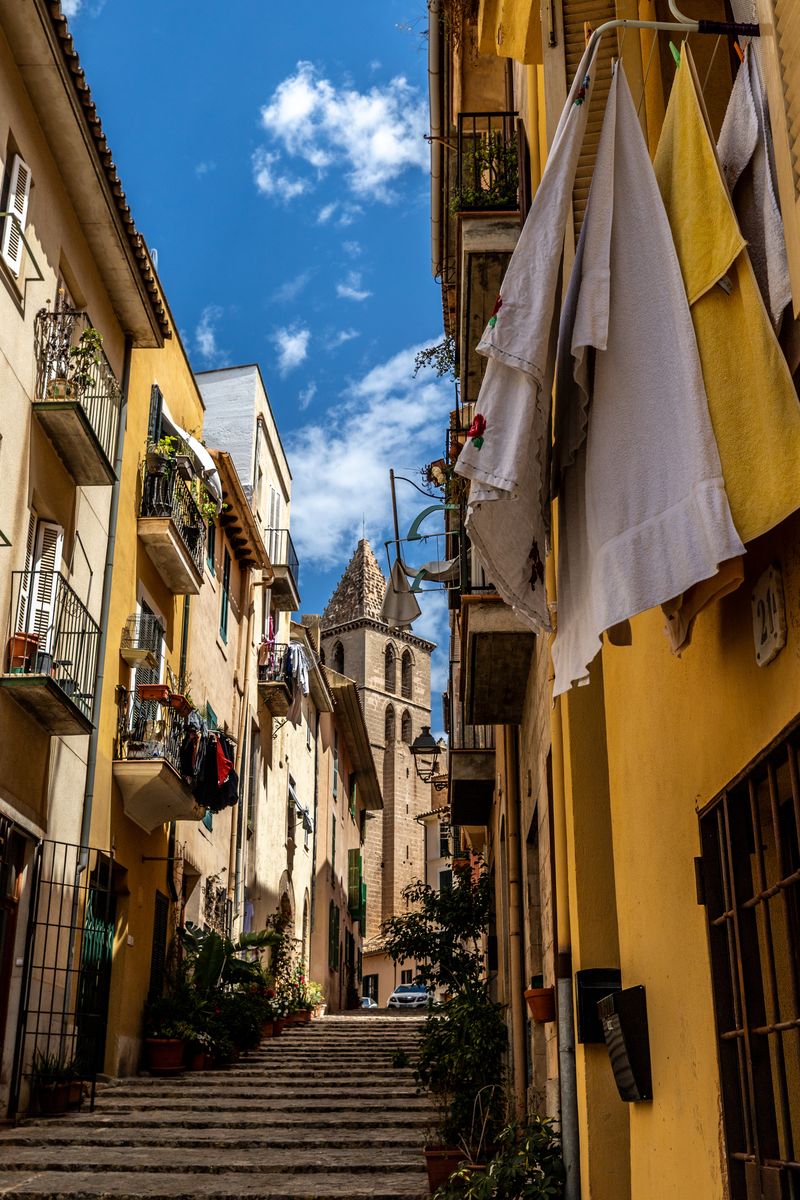 Palma