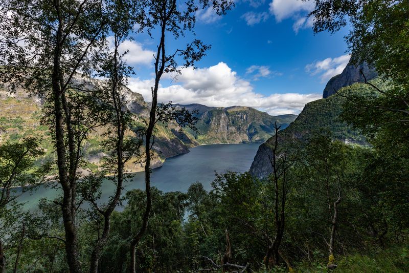Aurlandsfjorden