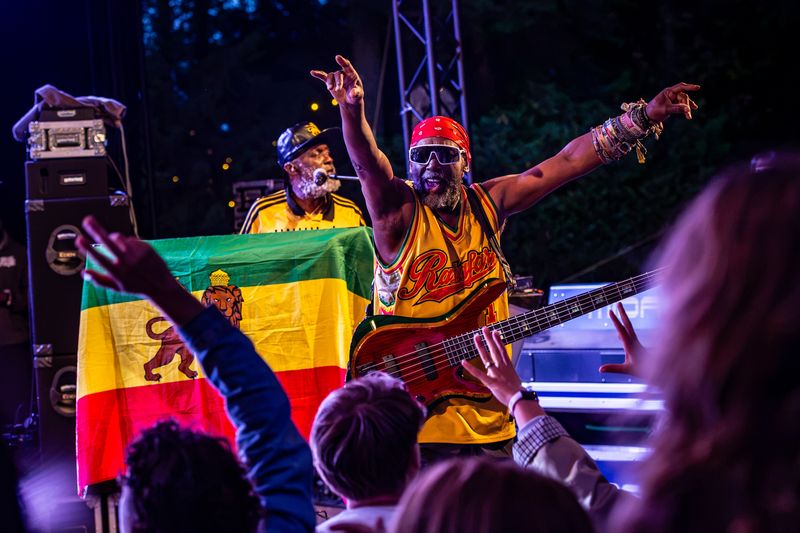 Steel Pulse